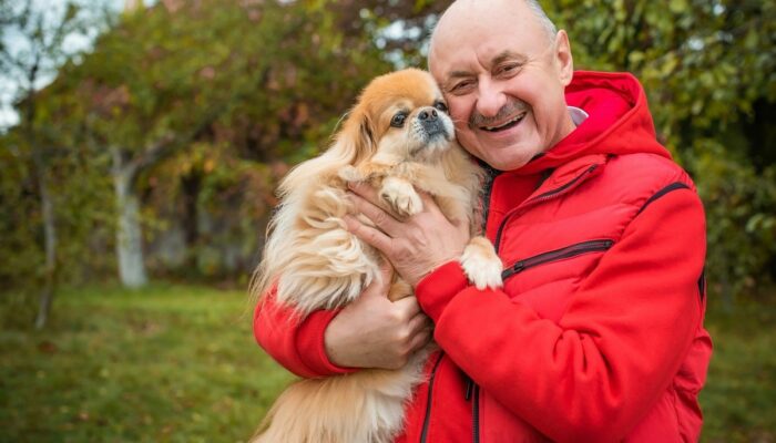 10 things to know before adopting a pet as a senior